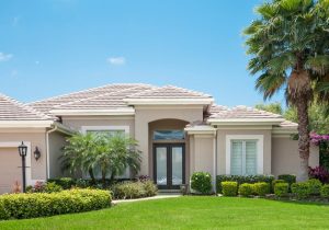 Sarasota Landscape